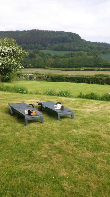 Bed and Breakfast Upper Letton Farm Leintwardine Экстерьер фото