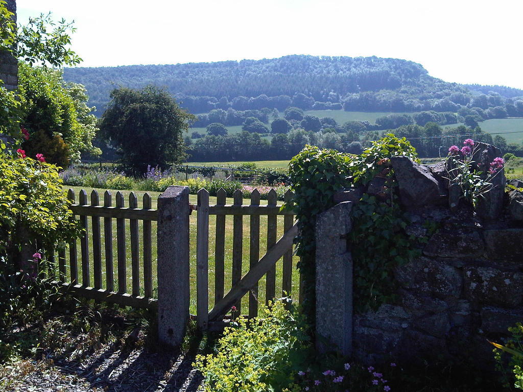 Bed and Breakfast Upper Letton Farm Leintwardine Экстерьер фото