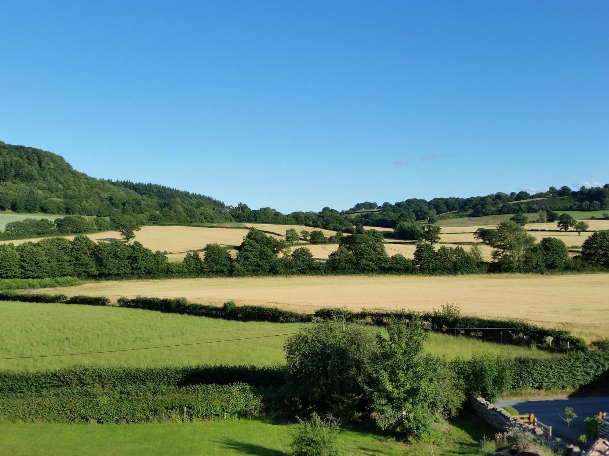 Bed and Breakfast Upper Letton Farm Leintwardine Экстерьер фото